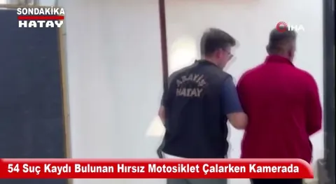 Video Resmi