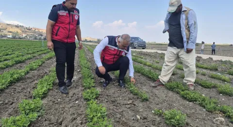 Haber Resmi