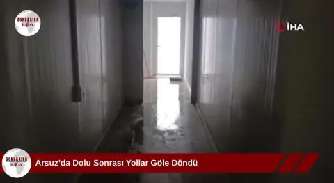 Video Resmi