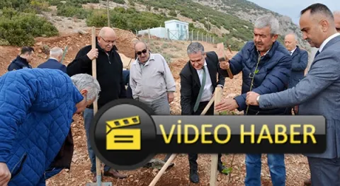 Haber Resmi
