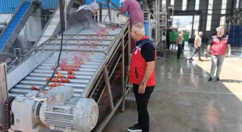 Haber Resmi