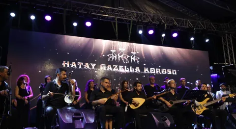 Haber Resmi