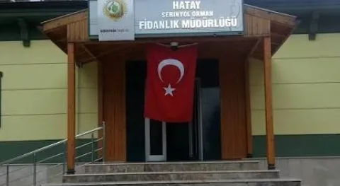 Resmi İlan Resmi