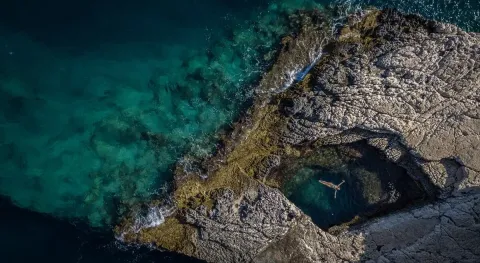 Haber Resmi
