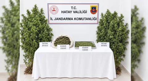 Haber Resmi