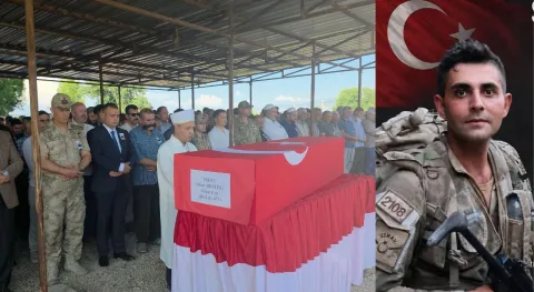 Haber Resmi