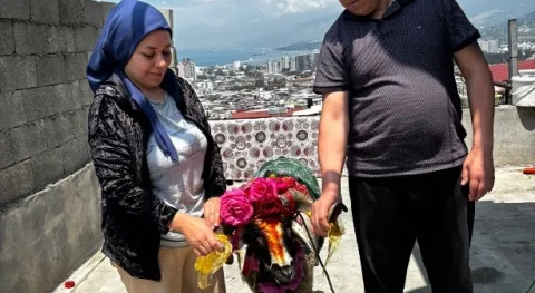 Haber Resmi