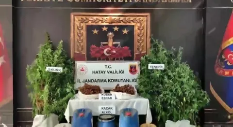Haber Resmi