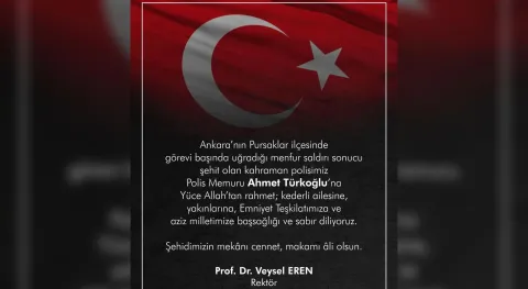 Haber Resmi