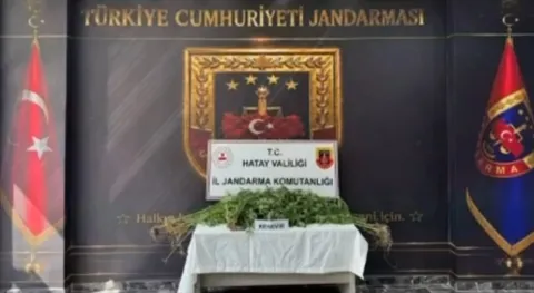 Haber Resmi