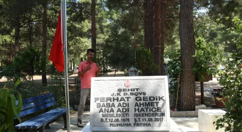 Haber Resmi
