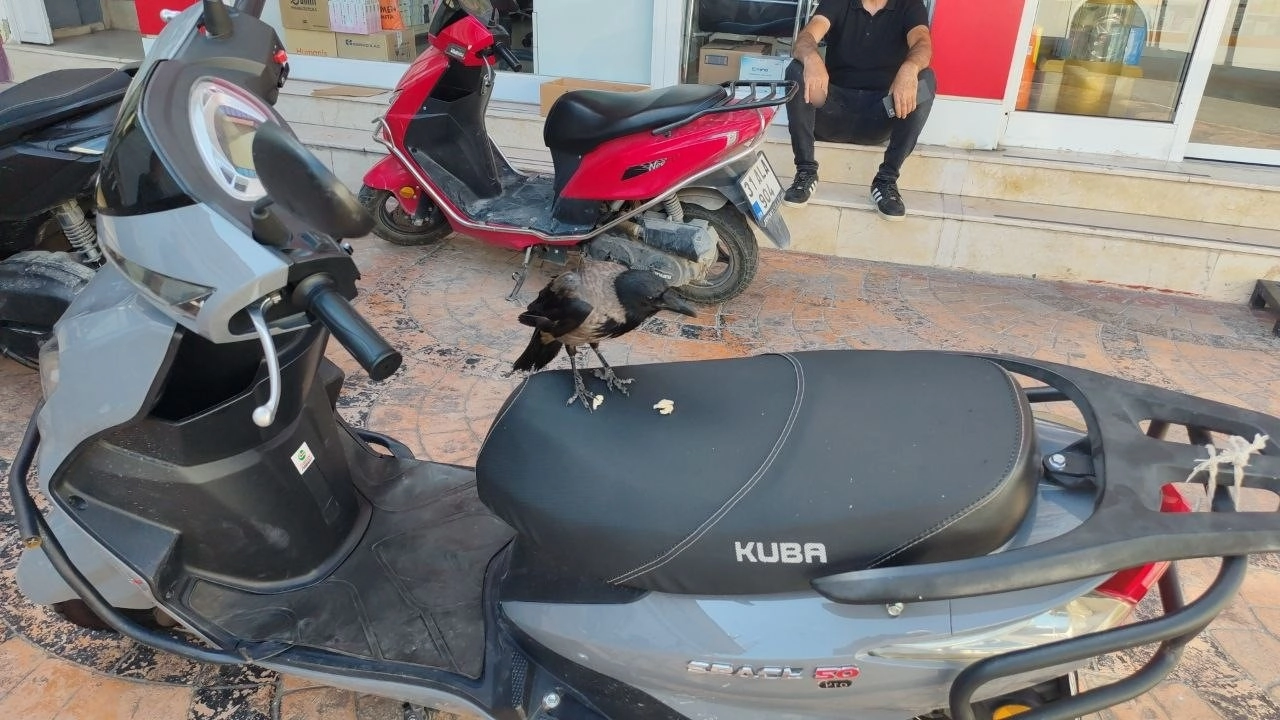 Haber Resmi