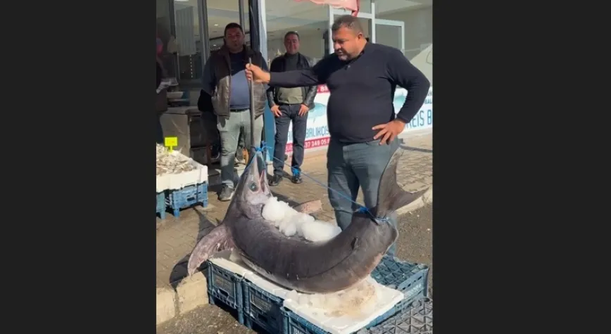 138 kiloluk dev kılıç balığı yakalandı