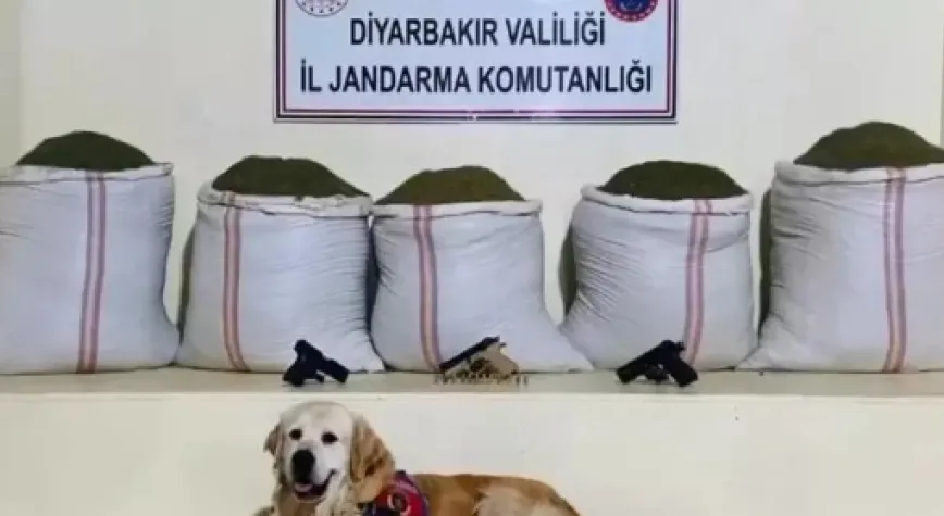 19 ilde'Narkoçelik-42 operasyonu