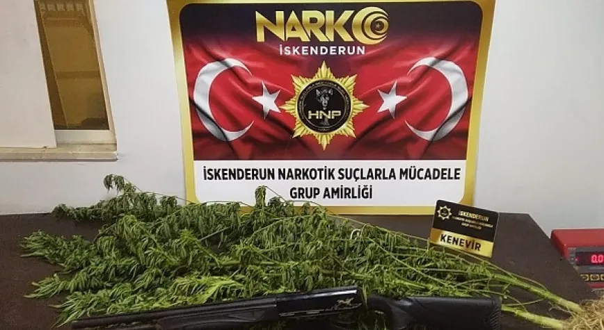 Haber Resmi