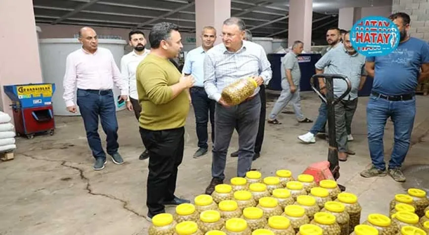 21 Ton Kapasiteli Kurutma Fabrikası Kurduk