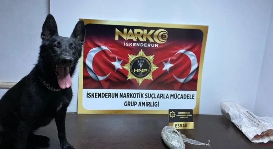 Haber Resmi