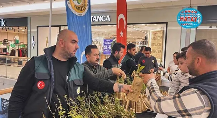 3 bin 500 ADET FİDAN DAĞITILDI