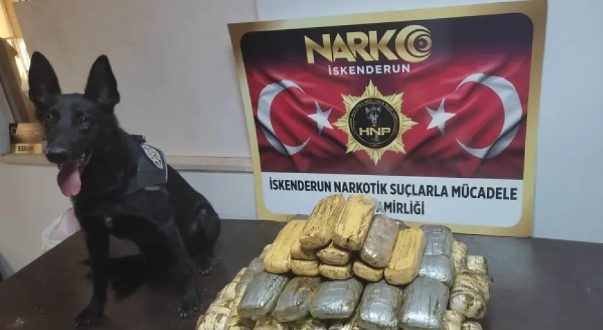 Haber Resmi