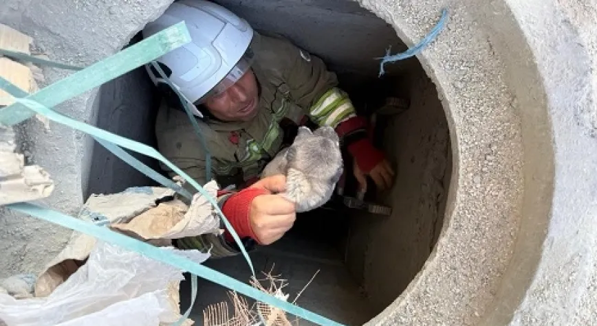 5 Metrelik Boruya Düşen Köpek Kurtarıldı