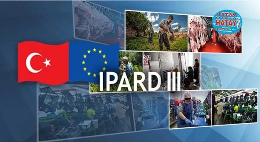 90 MİLYON AVRO IPARD HİBE DESTEĞİ SAĞLANACAK