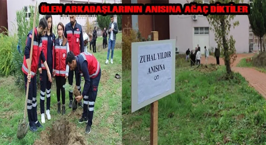 AĞAÇ DİKTİLER