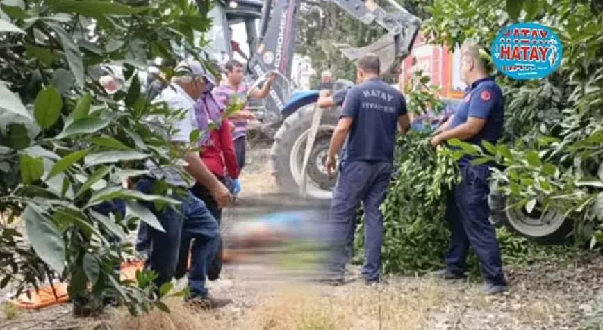 Ağaçlara çarpan traktörün sürücüsü yaralandı