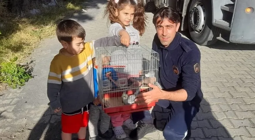 Ağaçta Mahsur Kalan Papağan Kurtarıldı