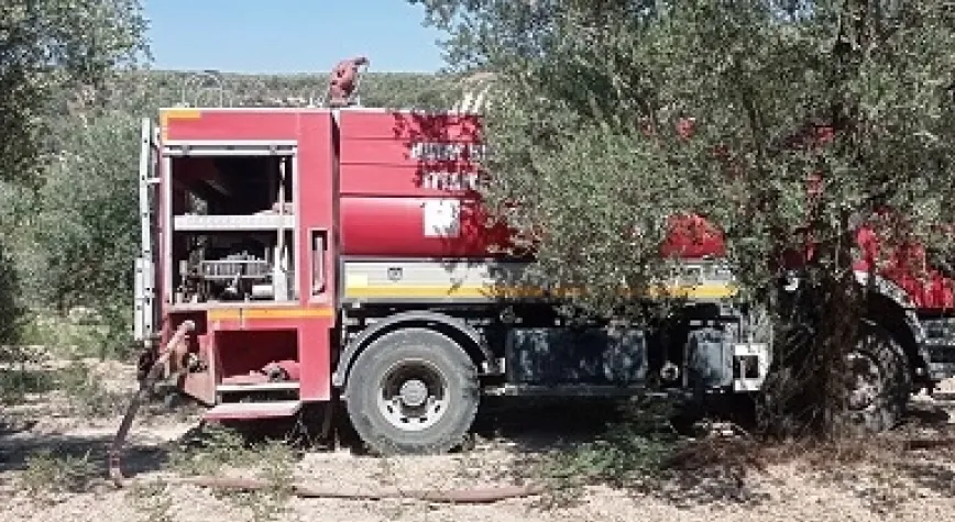 AKAMBER MAHALLESİ'NDE ZEYTİNLİK YANGINI PANİĞE NEDEN OLDU!
