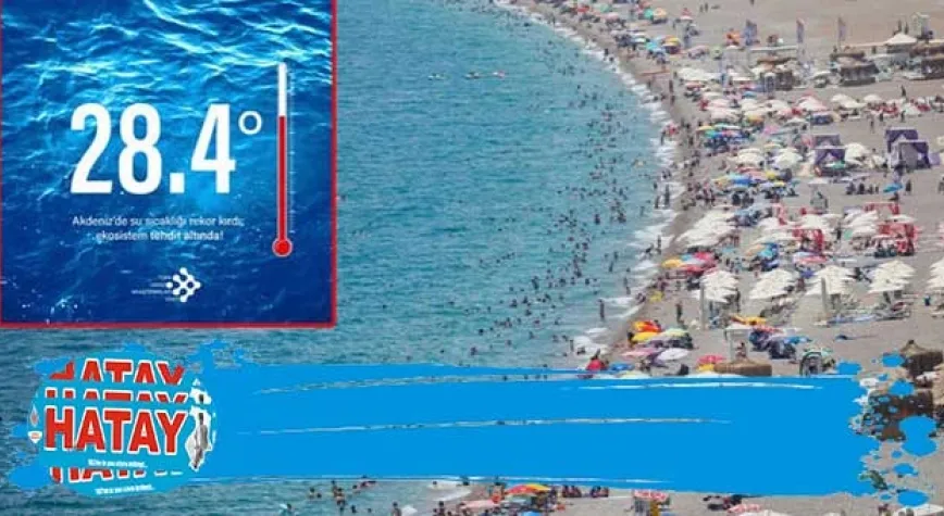 Akdeniz'in yüzey suyu sıcaklığı yükseliyor