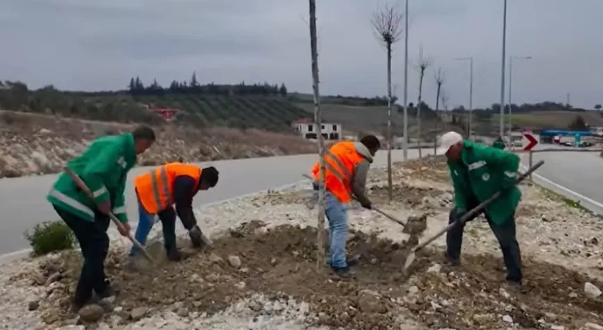 Altınözü çevre yolu ağaçlandırılıyor