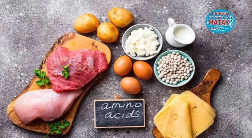Amino Asit Nedir? Ne İşe Yarar?