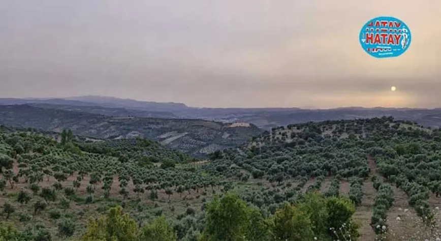 ANATOLiVAR HATAY’DA