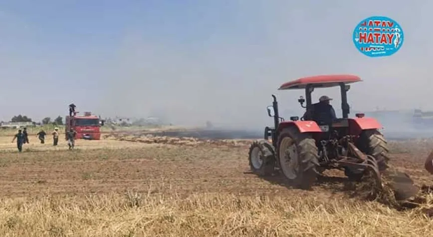 ANIZ YAKARKEN, ZEYTİN VE BUĞDAY TARLASI KÜL OLDU
