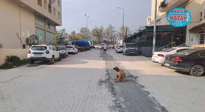 ANTAKYA BELEDİYESİ YOL ONARIM VE YENİLEME ÇALIŞMALARINI HIZLANDIRDI