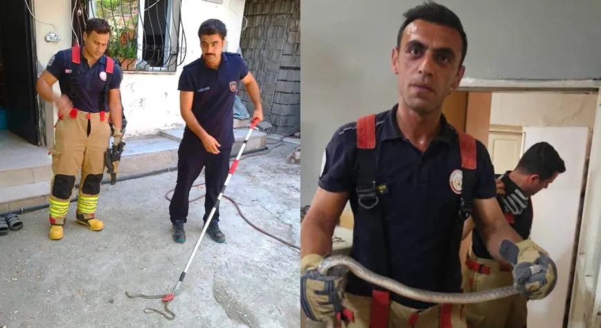 Antakya'da Evlere Giren Yılanlar İtfaiye Tarafından Yakalandı