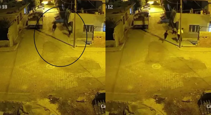 Antakya'da Firari Angus Mahalleyi Birbirine Kattı