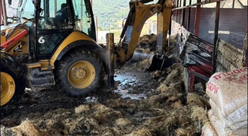 Antakya'da Samanlık Yangını: 7 Hayvan Kurtarıldı