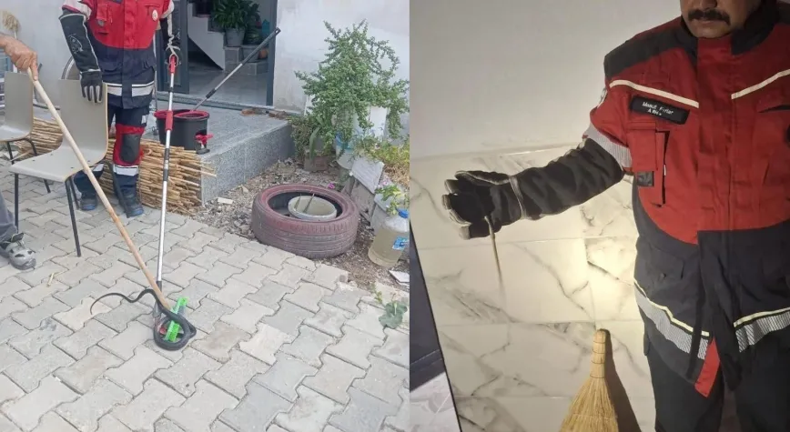 Antakya ve Hassa’da Yılanlar Doğaya Bırakıldı