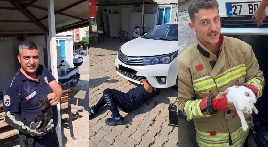 Antakya ve İskenderun’da Araç Motoruna Sıkışan Kediler Kurtarıldı