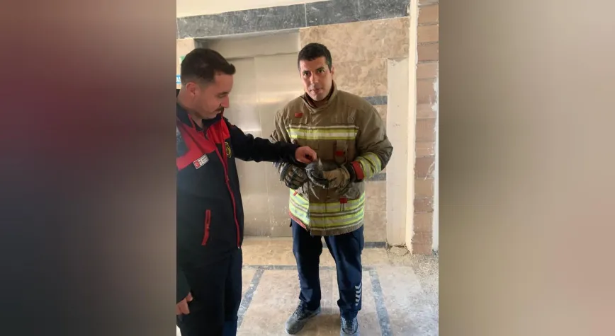 Antakya’da Asansör Boşluğuna Düşen Yavru Kedi Kurtarıldı
