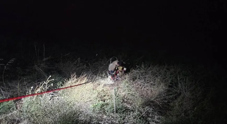 Antakya’da Asi Nehri’ne Düşen Koç Kurtarıldı