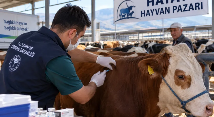 Hatay’da Şap Tedbiri: Gözler Hayvan Pazarlarında
