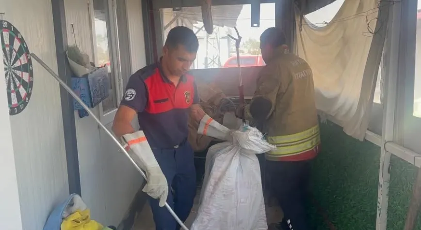 Antakya’da Eve Giren Yılan Yakalanıp Doğaya Bırakıldı