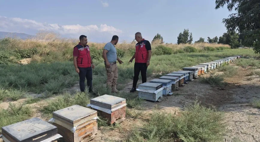 Antakya’da Kovanlar Açıldı, Bal Sağımı Başladı