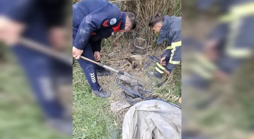 Antakya’da Kuyuya Düşen Köpek Kurtarıldı