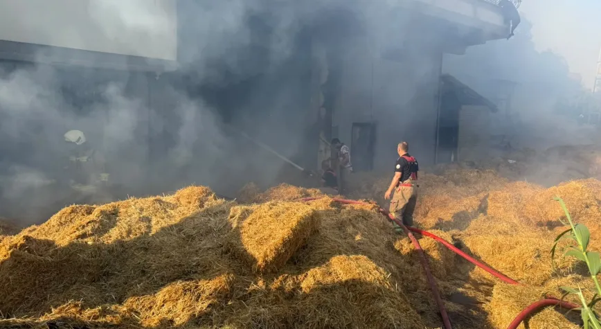 Antakya’da Samanlık Yangını Korkuttu