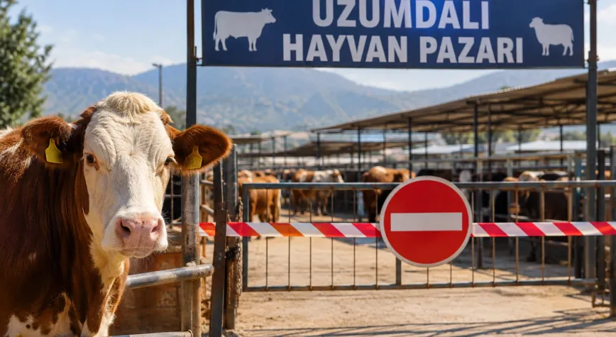 Antakya’da şap hastalığı tedbiri: Hayvan pazarı kapatıldı