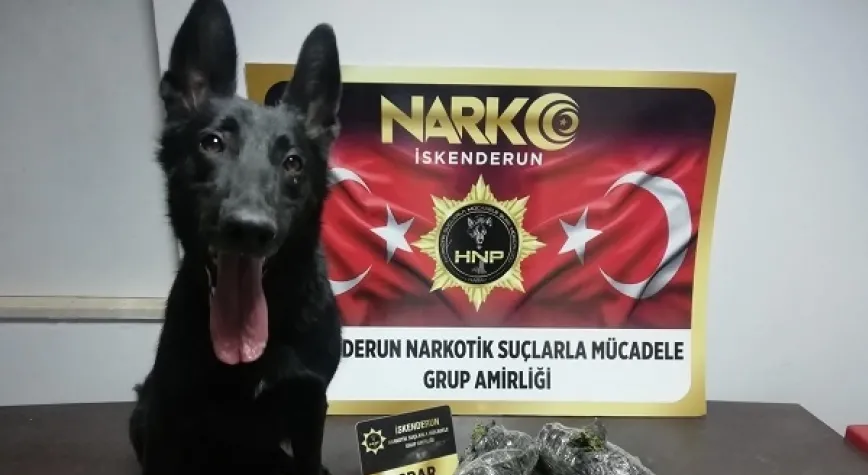 Haber Resmi