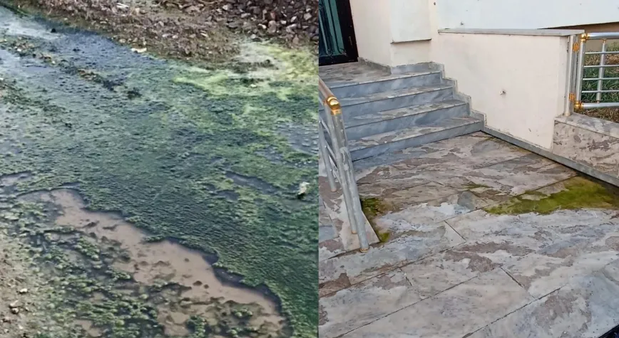 Arsuz’da Foseptik Sorunu: Mahalleli Çözüm Bekliyor